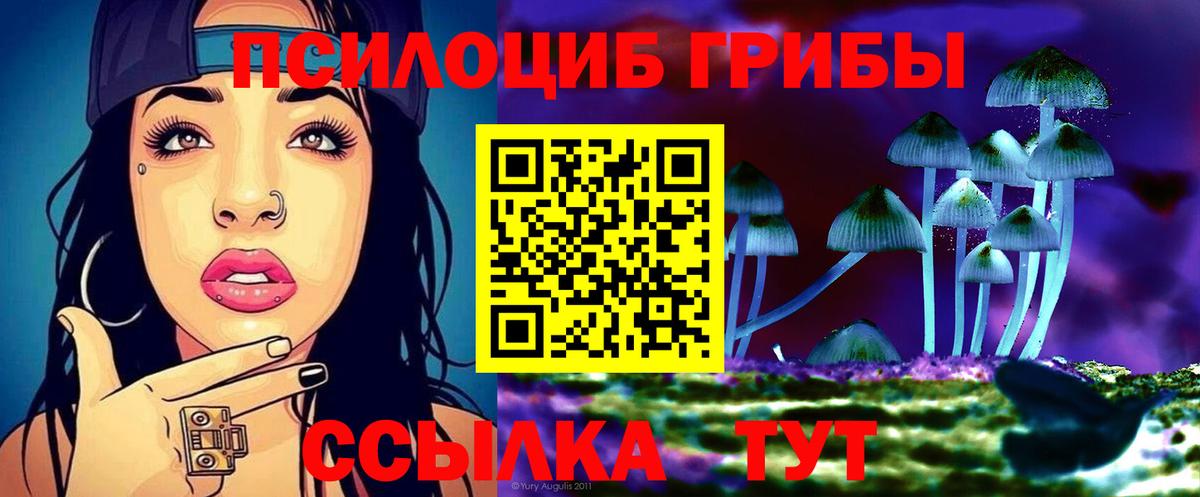 Галлюциногенные грибы мицелий Шелехов