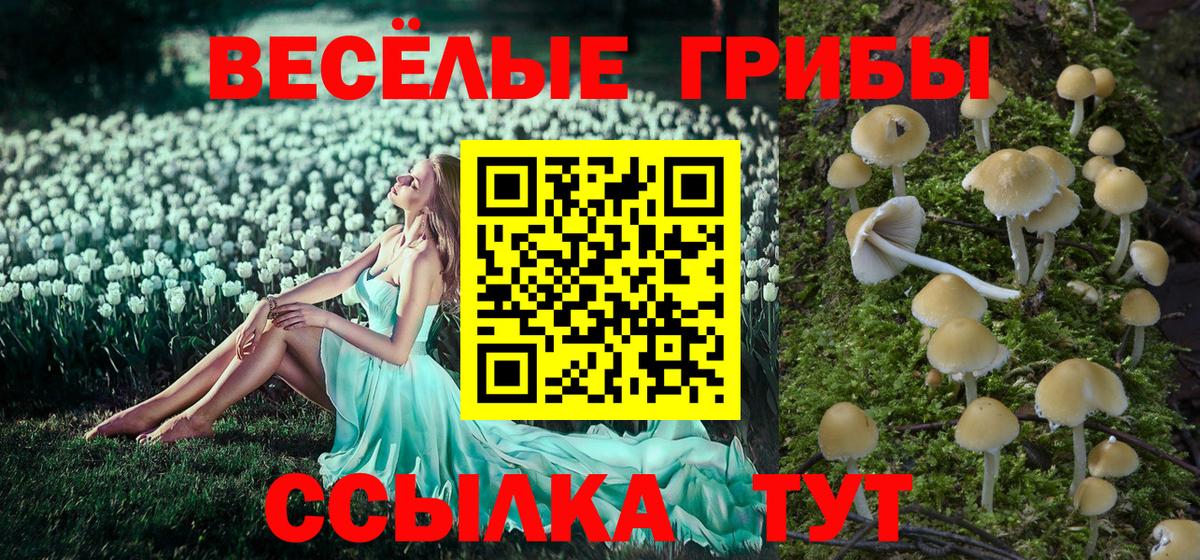 сколько стоит  Галлюциногенные грибы Psilocybe  Вход с VPN  Шелехов 